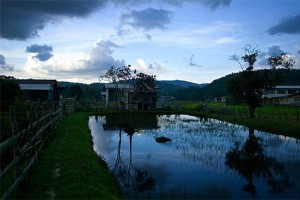 Sarawak