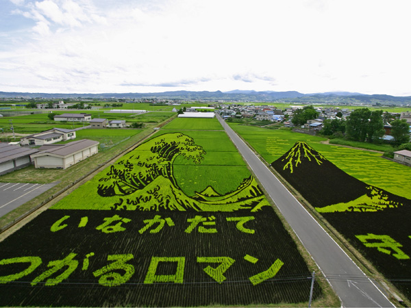 Rice art1