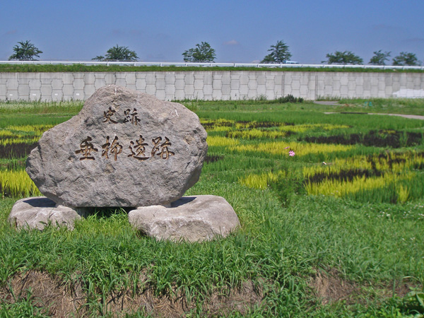 Rice art10