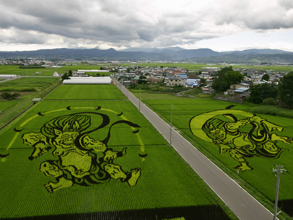 Rice art2