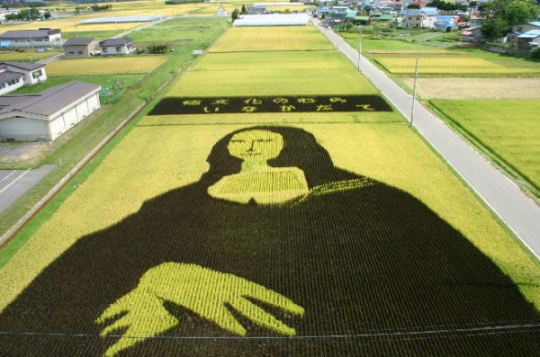 Rice art3