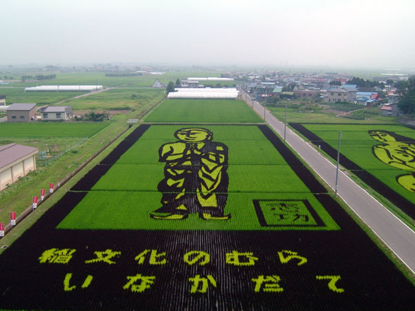 Rice art4