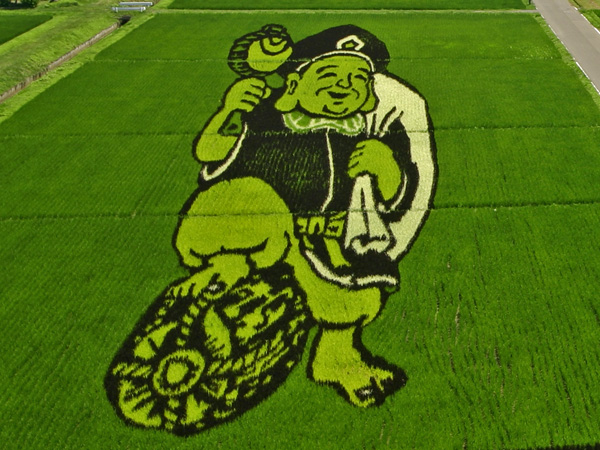 Rice art6