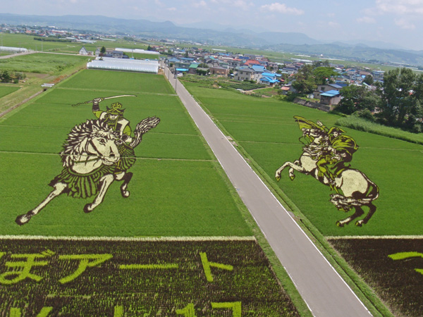 Rice art8