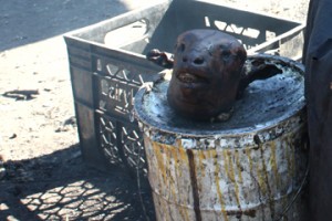 20110512-Smiley "Smiley" in Langa Township, South Africa.