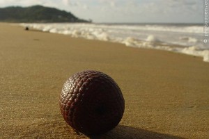 Coast, French Guiana Beach