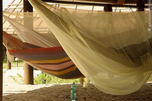 Hammock with mosquito netting Carbet, French Guiana