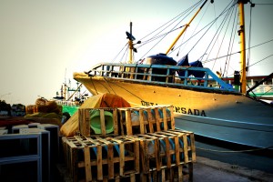 Boat at the dock