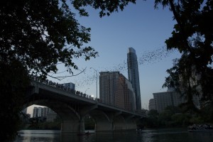 Photos by author.