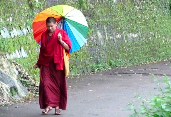 Monk in Dharamsala