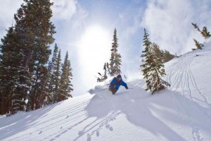 Skier