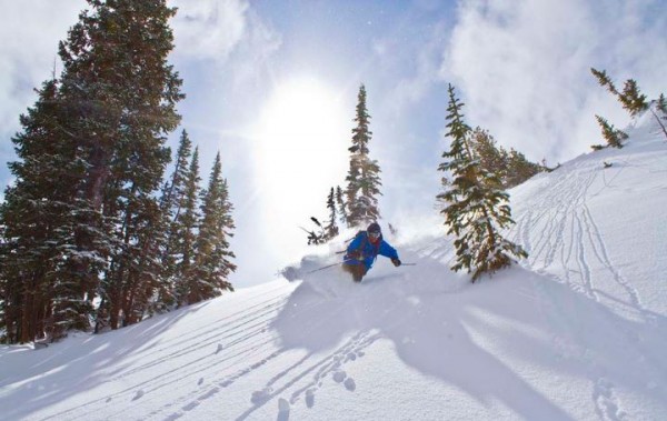 Jackson Hole Skier
