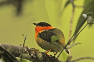 All photos: {link url="http://jimburnsphotos.com/"}Jim Burns{/link}