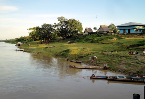 The river Amazon