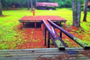 Skid poles