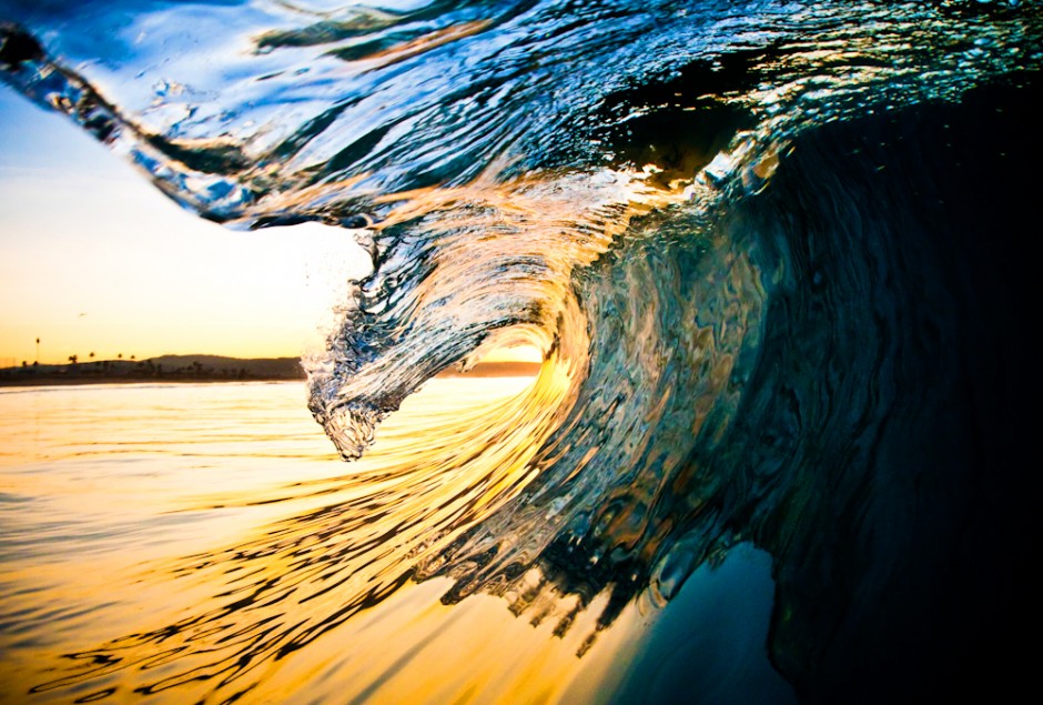 Aquatic reflections