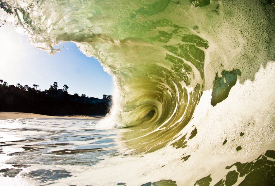 Heavy Aliso