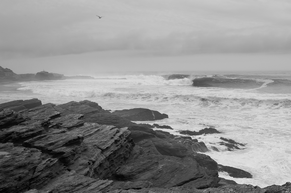 090403_BURKARD_37552