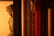 bookshelf-matador-seo