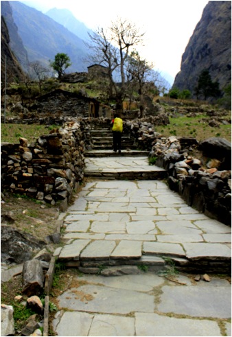 steps