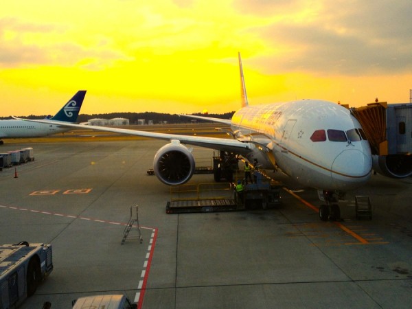 The Dreamliner at the gate. And this one worked!
