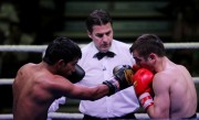 Photo: World Series Boxing