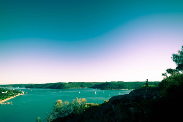What's in a view?