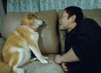 cute dog hushes loquacious human couch-mate with paw