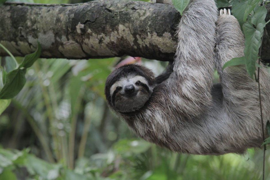 10 experiences you can only have in Costa Rica