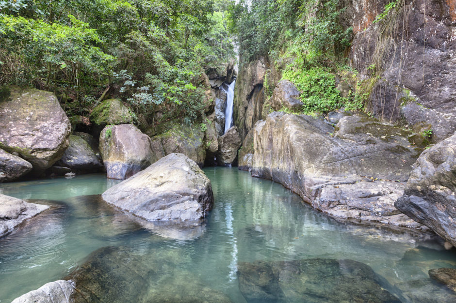 waterfall in rainforest