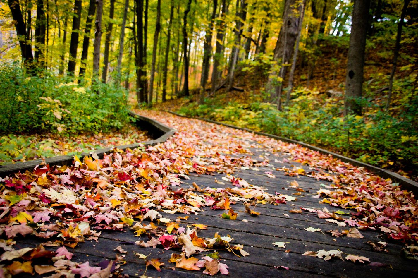 6 swim, paddle, trail and camp spots you need to know in West Michigan