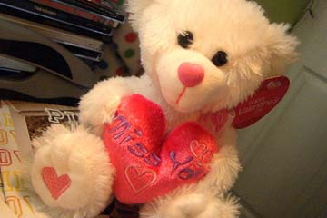 Valentine's teddy bear