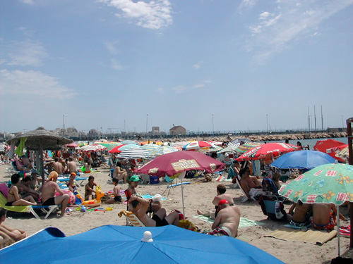 seaofbrollies_0.jpg seaofbrollies_0.jpg