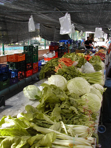 stall2.jpg stall2.jpg