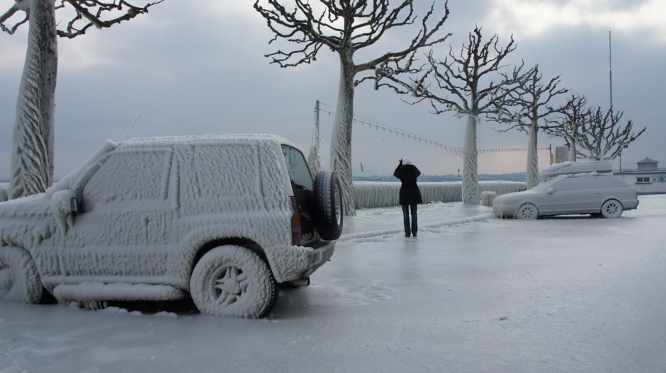 Frozen Parking Violators
