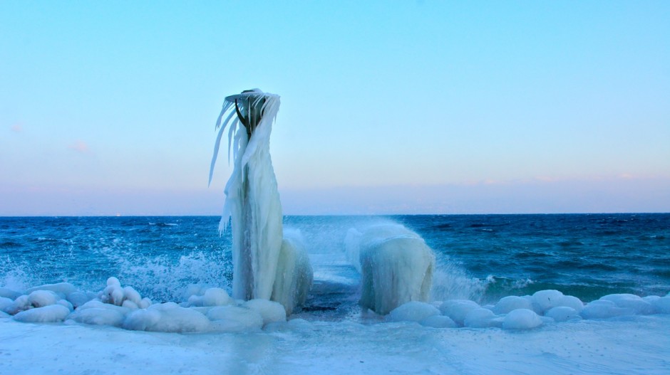 The Icy Guard