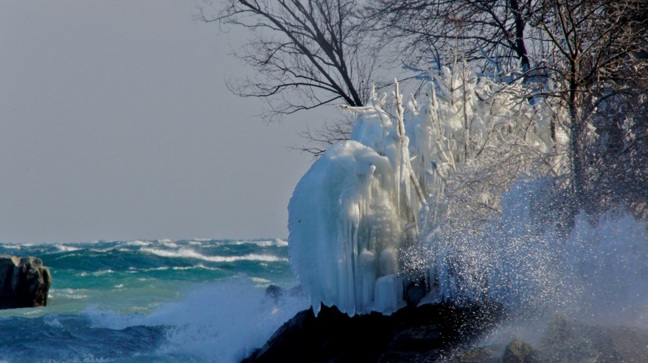 Polar See