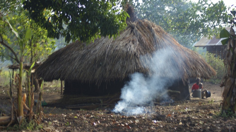 Traditional thatched home