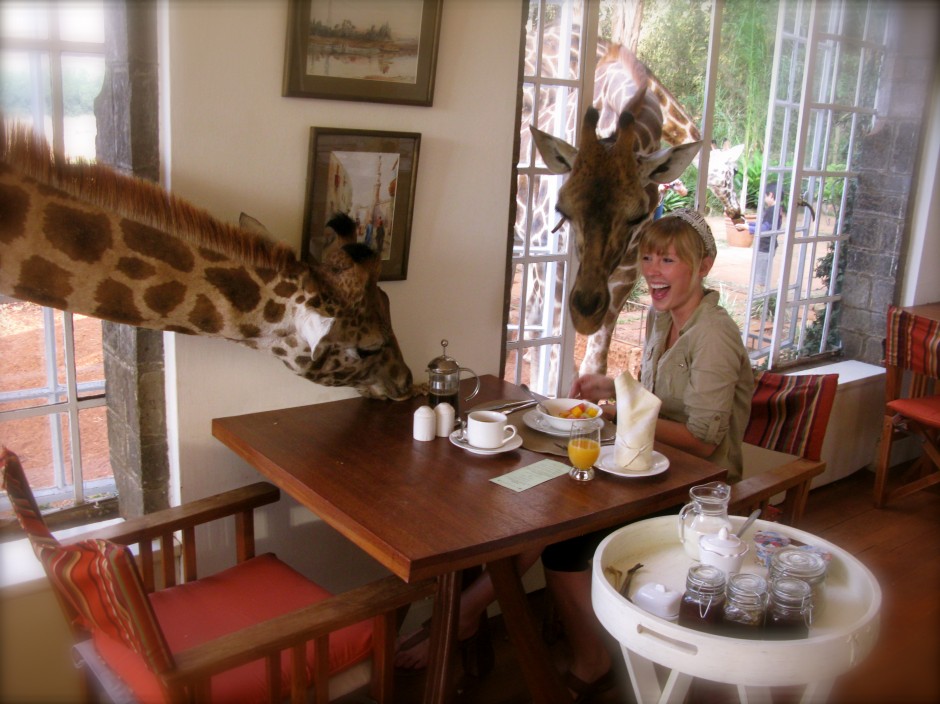 Breakfast at Giraffe Manor