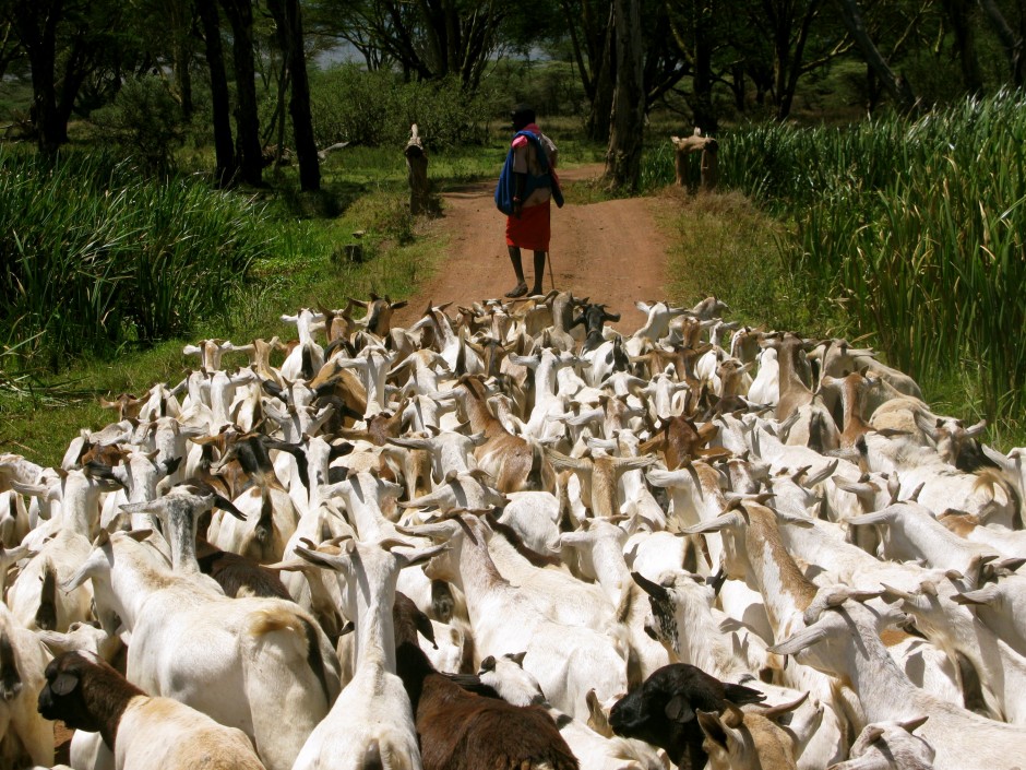 Lewa Wilderness Area