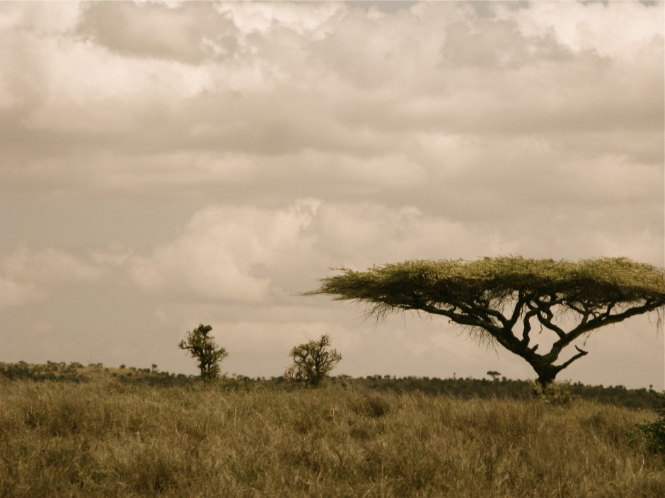 Africa...