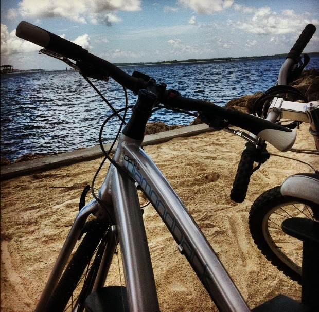 The Weekend Mode of Transportation