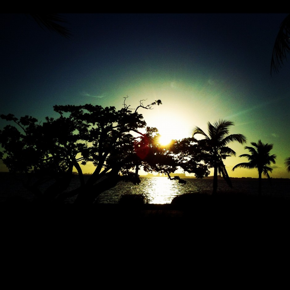 Follow The Sun