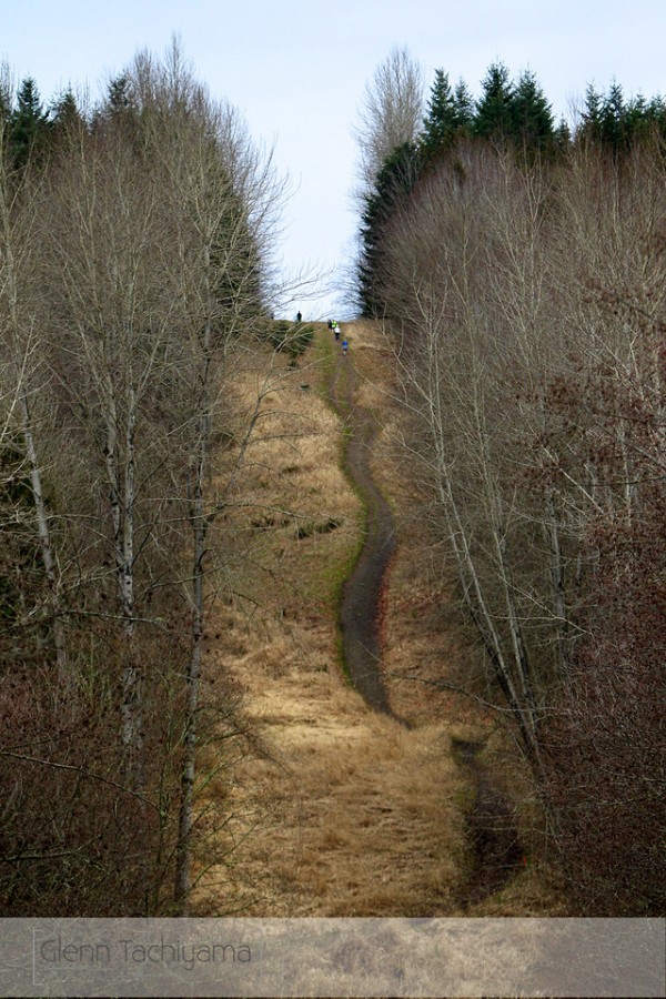 LordHill7