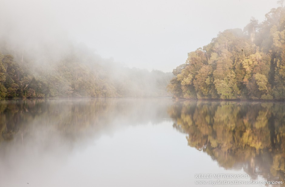 Misty Sunrise - Pieman River