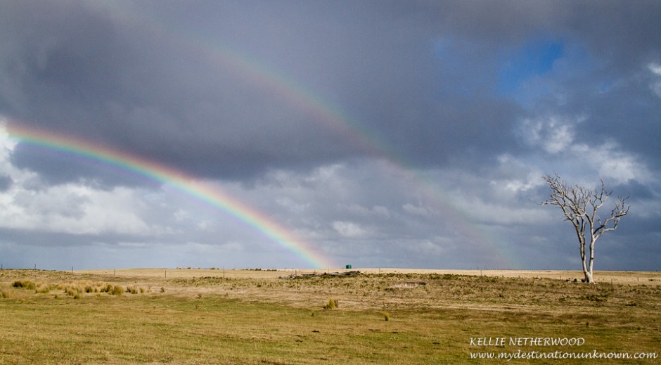 Rainbow - Australian Countryside
