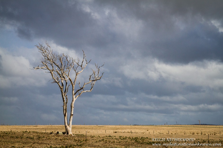Countryside - East Tasmania
