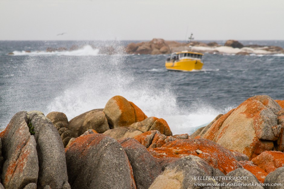 Eddystone Point, Tasmania