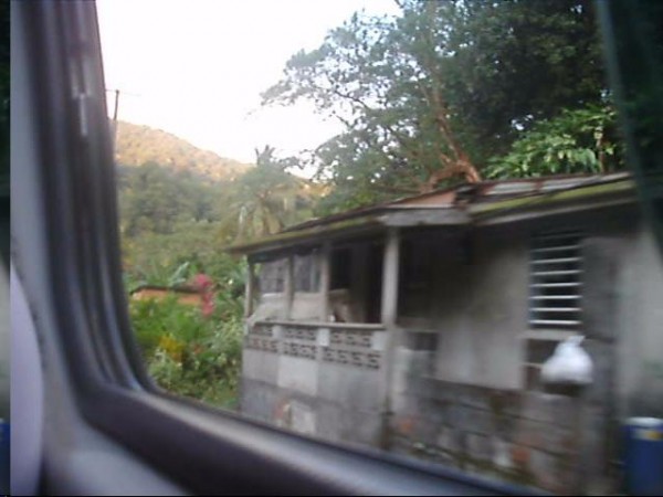 View from the bus