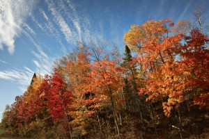 Fall Season Scene by © Brandon Elijah Scott / www.eyeandpen.com